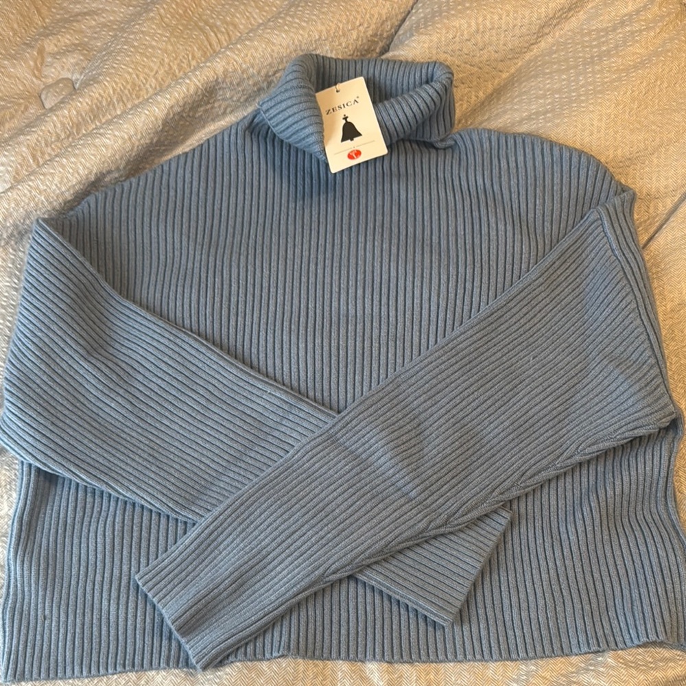 Zerica Blue Ribbed Turtleneck Sweater